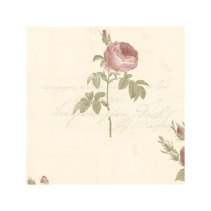 Sample CG28861 Rose Garden 2 Norwall Wallpaper
