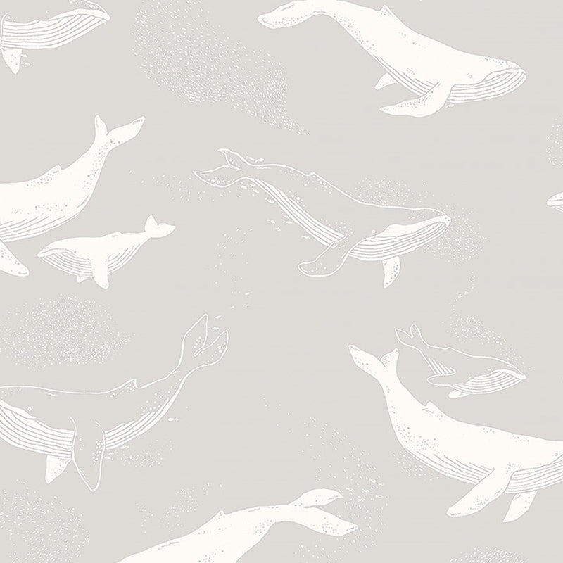 Sample 7452 Whales, Grey By Borastapeter Wallpaper