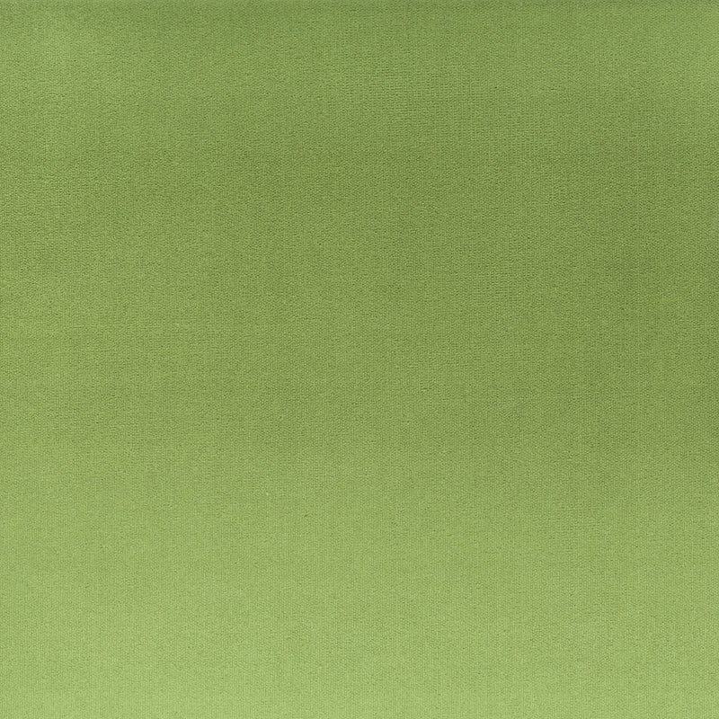 Shop TINK-2 Tinker 2 Basil by Stout Fabric