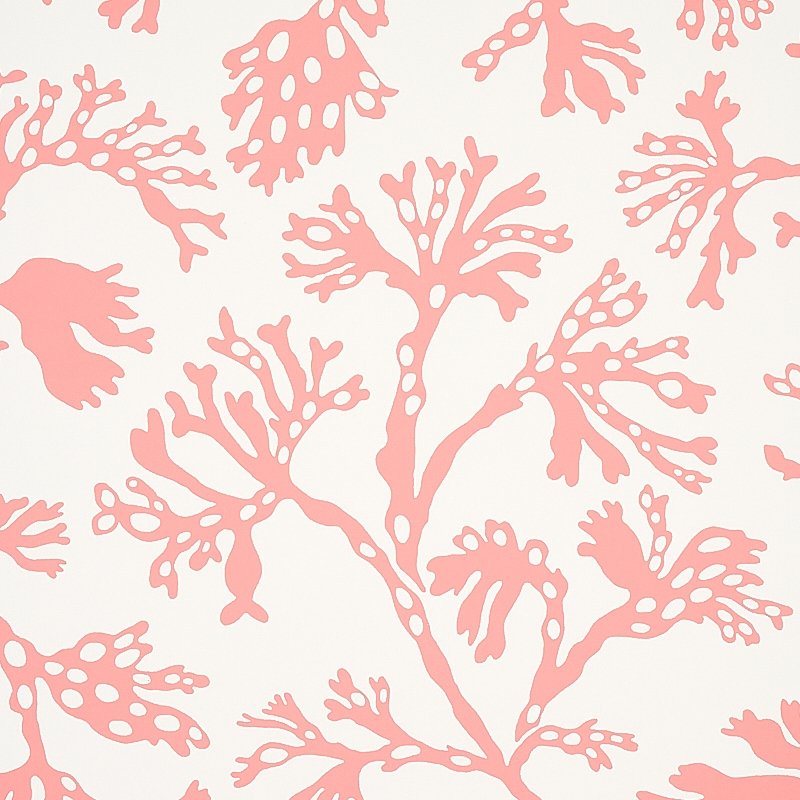 Find 5012132 Anthoza Coral Schumacher Wallcovering Wallpaper