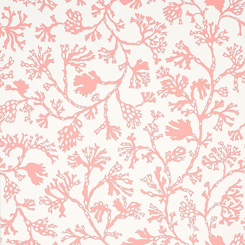 Buy 5012132 Anthoza Coral Schumacher Wallcovering Wallpaper