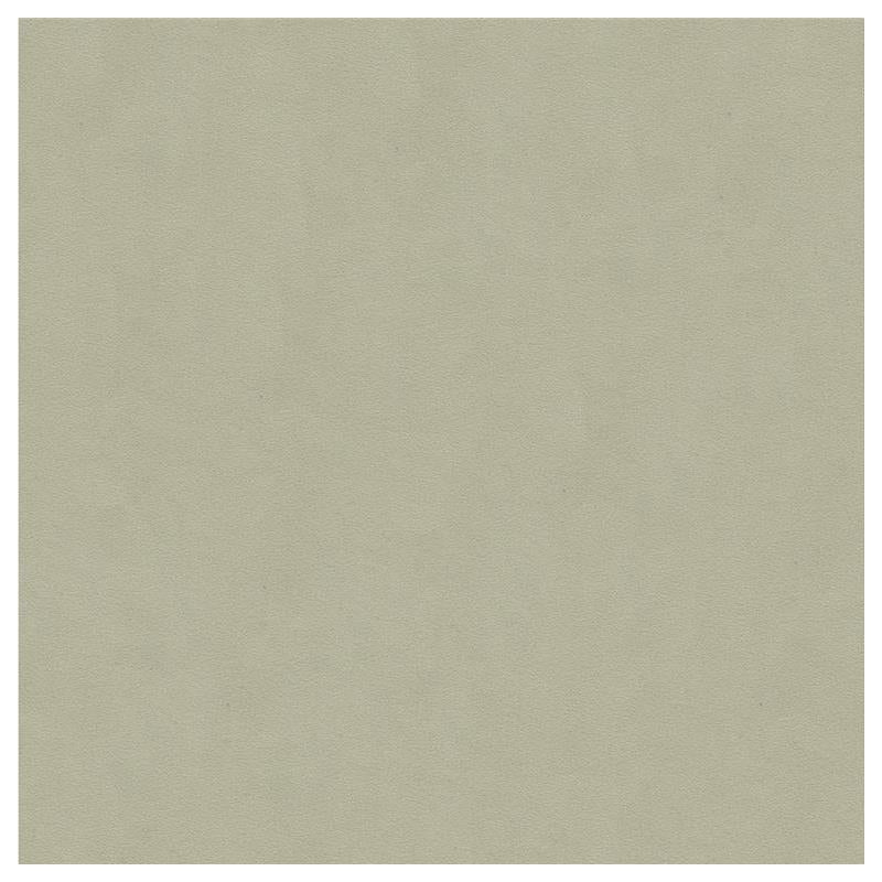 Shop 30787.2101.0 Ultrasuede Green Ash Solids/Plain Cloth Light Grey by Kravet Design Fabric