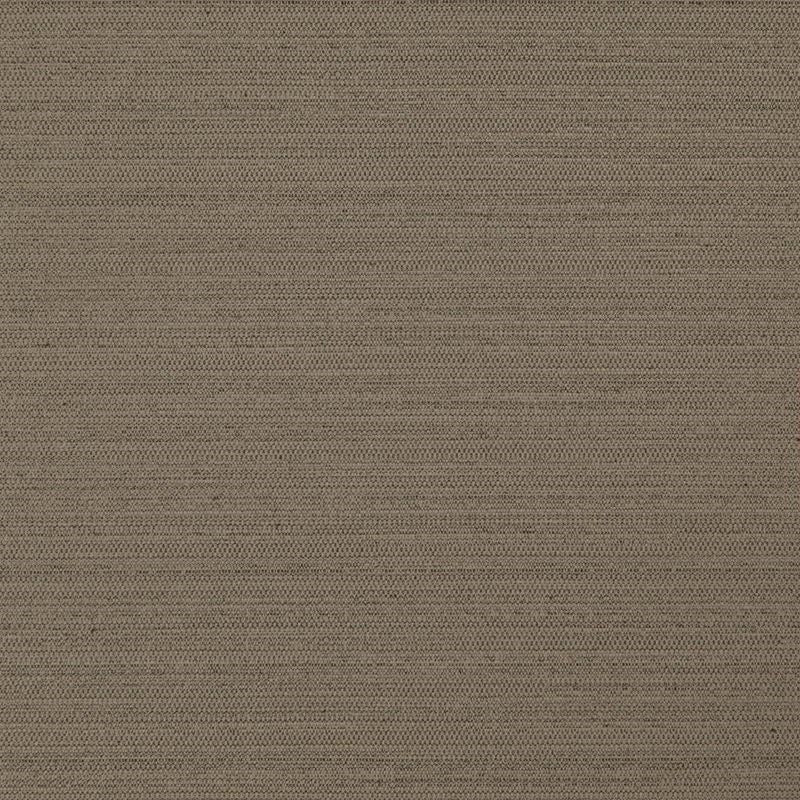 DI5738 | Darwin Cocoa by Maxwell Fabric