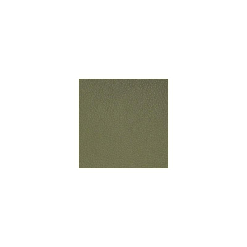 Sample CDA036 Classic (contract Vinyl) Sage by Maxwell