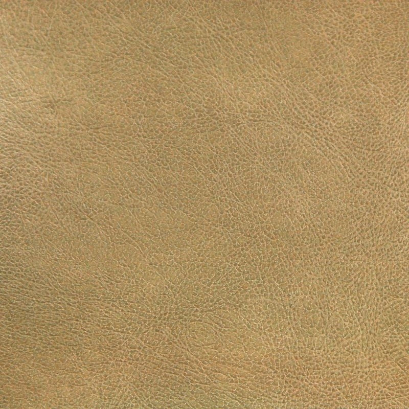 Sample TURC-2 Turco Fawn by Stout