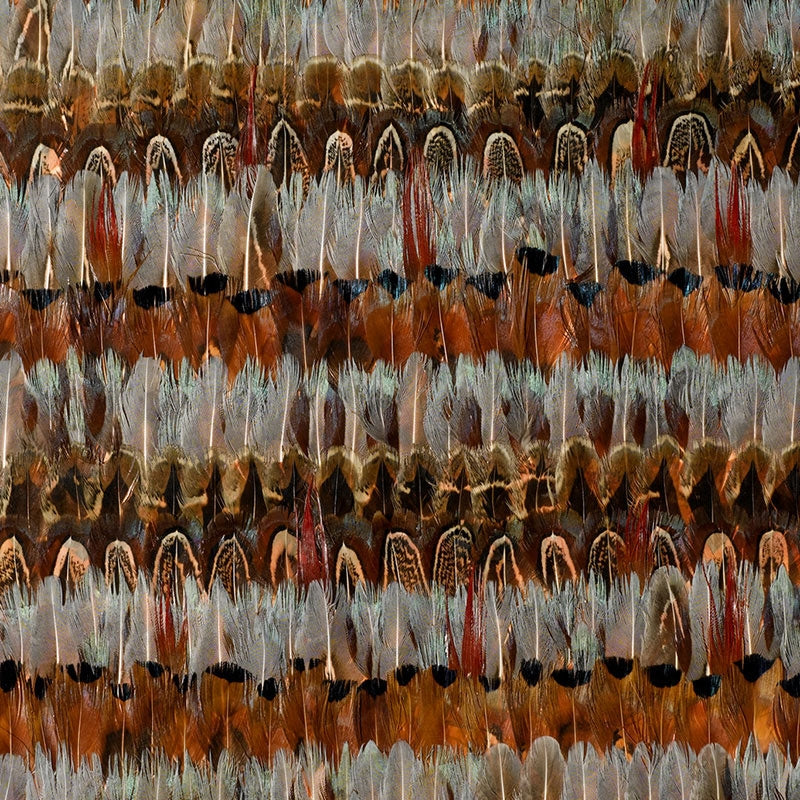 Looking for 5003900 Wildwood Jewel Schumacher Wallpaper