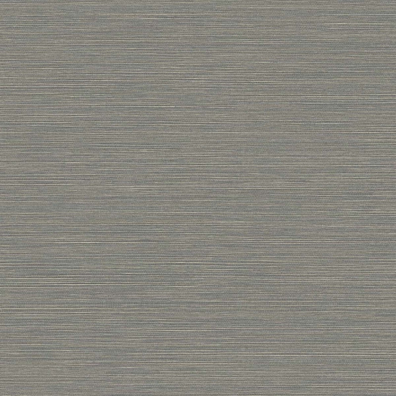Sample BV30408 Texture Gallery, Coastal Hemp Slate and Shine Seabrook Wallpaper