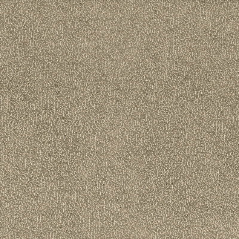 Shop WILK-2 Wilkinson Dove neutral faux leather by Stout Fabric