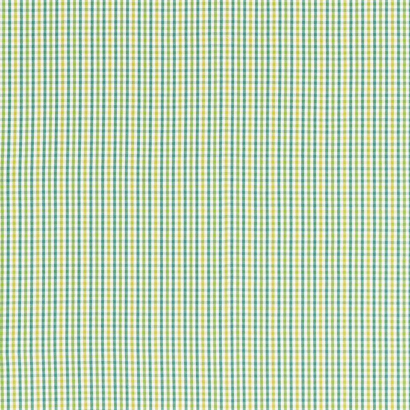 Purchase sample of 68050 Bahama Check, Lagoon by Schumacher Fabric