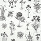 Find 5010640 Cabot Botanical Large Ivory Schumacher Wallcovering Wallpaper