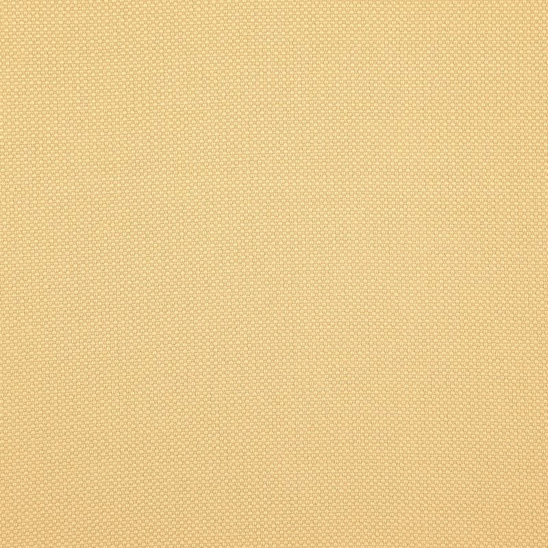 TO6047 | Tesseract Hay by Maxwell Fabric