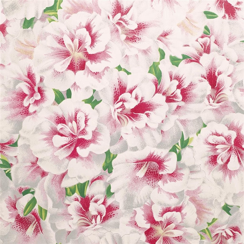 Find PJD6004/01 Variegated Azalea Azalea by Designer Guild Wallpaper