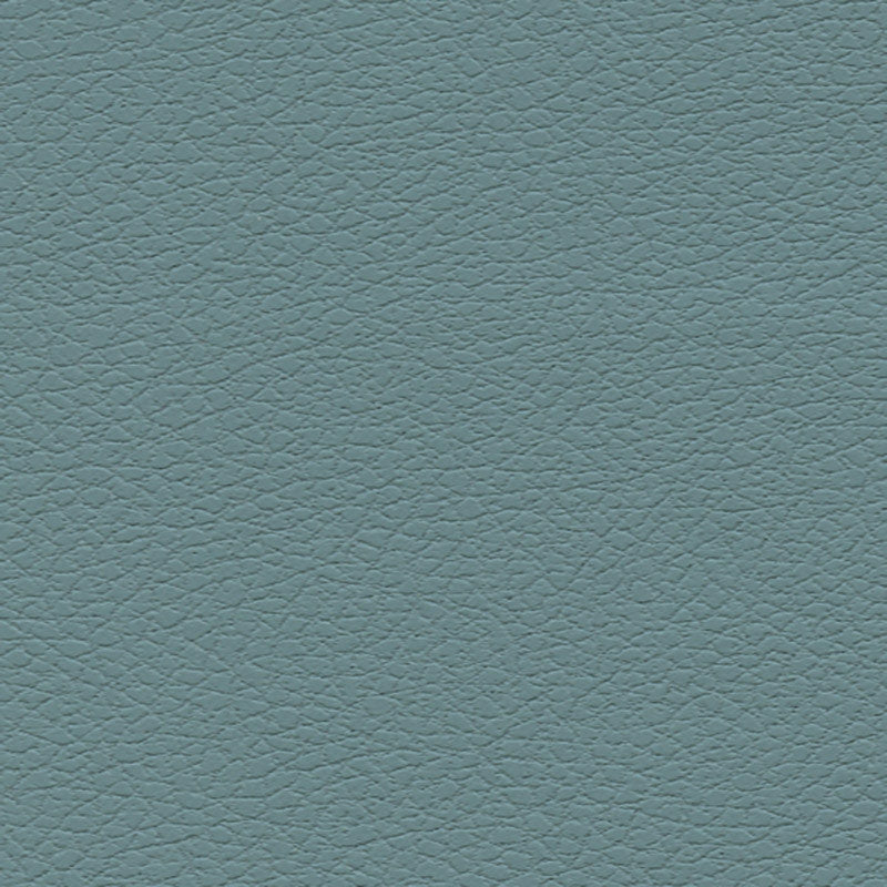 Purchase sample of 303-2697 Brisa, Mineral by Schumacher Fabric