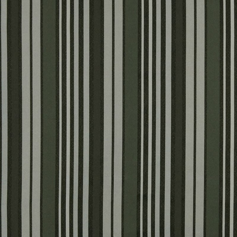 220400 | Vibrant Stripe Panther - Robert Allen