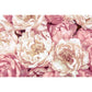 XXL4-091 Colours  Peonies Wall Mural by Brewster,XXL4-091 Colours  Peonies Wall Mural by Brewster2