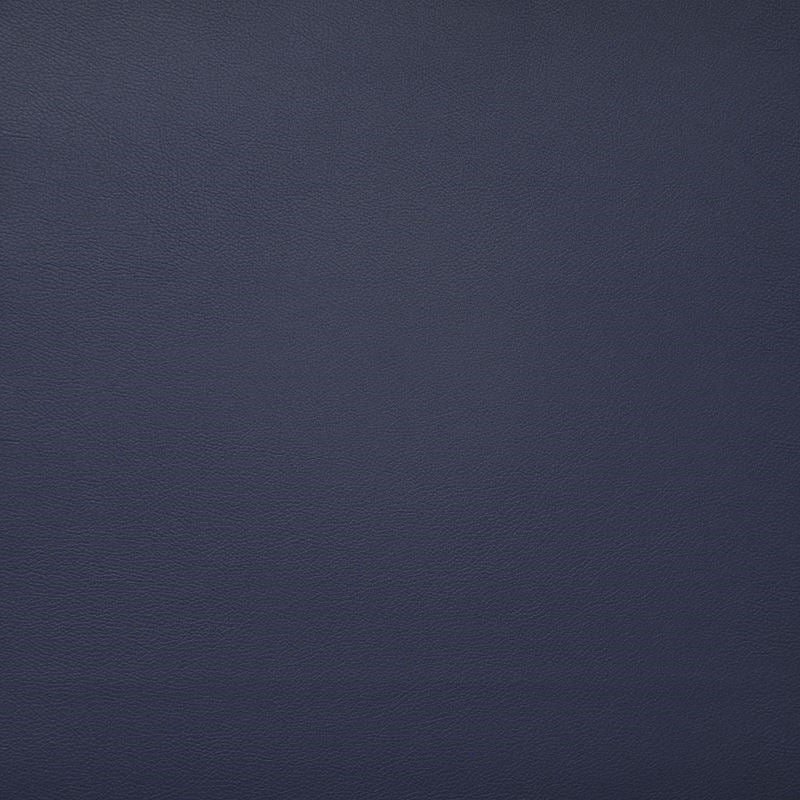 Sample PU1715 Pinto Pacific by Maxwell