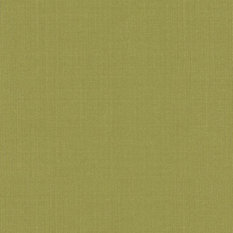 Purchase sample of 22652 Sargent Silk Taffeta, Linden by Schumacher Fabric