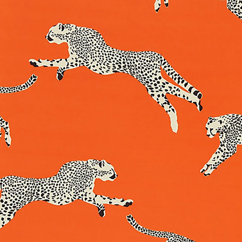 Acquire SC 000216634 Leaping Cheetah Cotton Print Clementine by Scalamandre Fabric