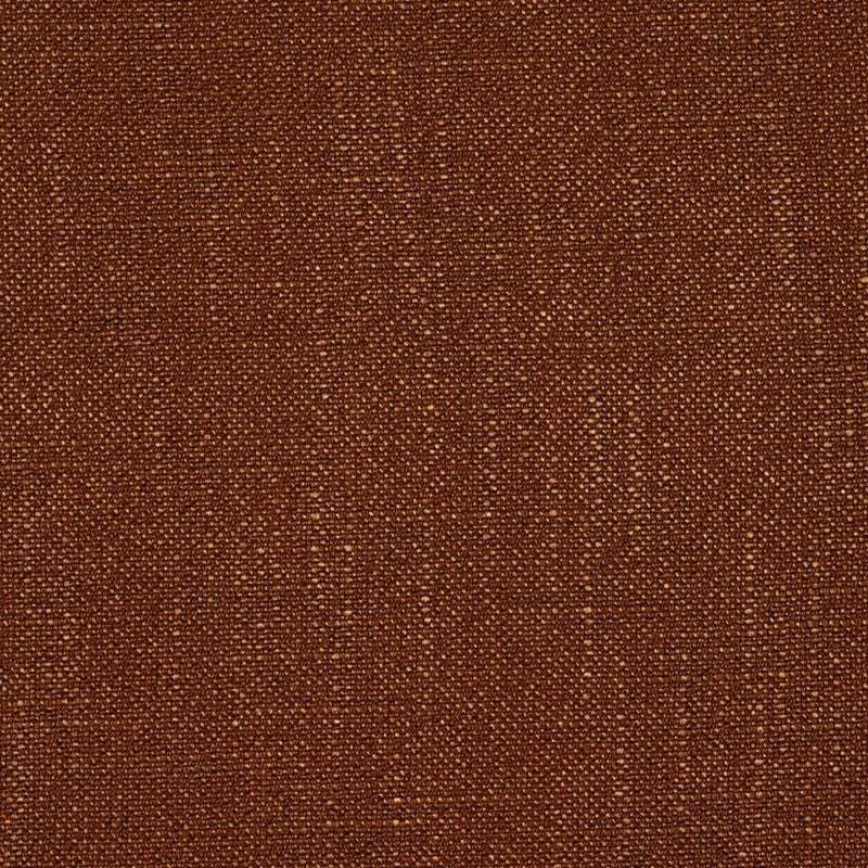 Sample Enchantment Copper Robert Allen Fabric.