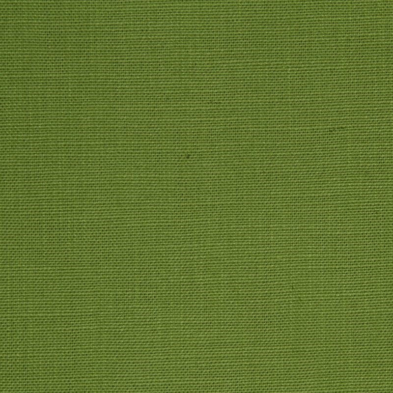 220428 | Linen Image Edamame - Robert Allen