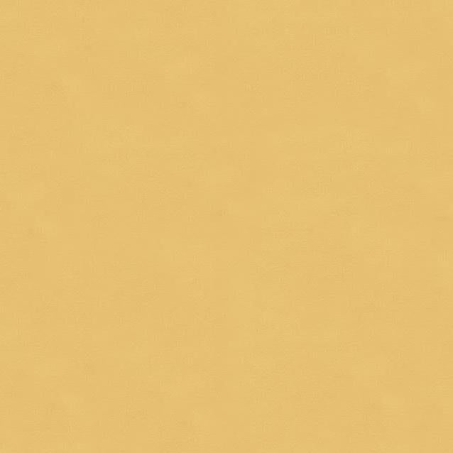 Purchase 4202.114.0 Luster Satin Shell Solids/Plain Cloth Yellow by Kravet Contract Fabric