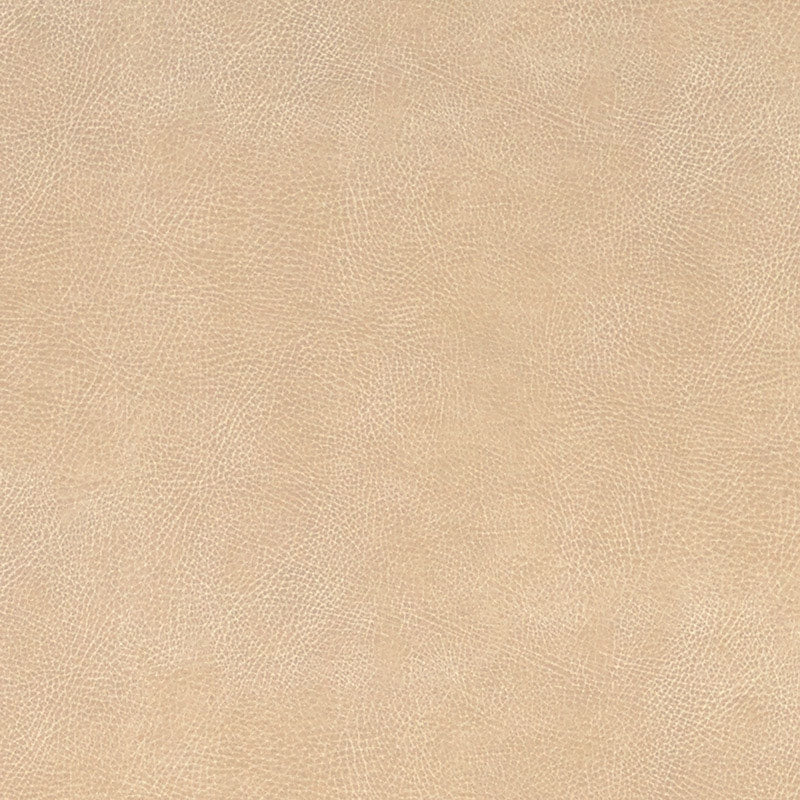 Purchase sample of 396-3024 Brisa Soleil Distressed, Chamois by Schumacher Fabric