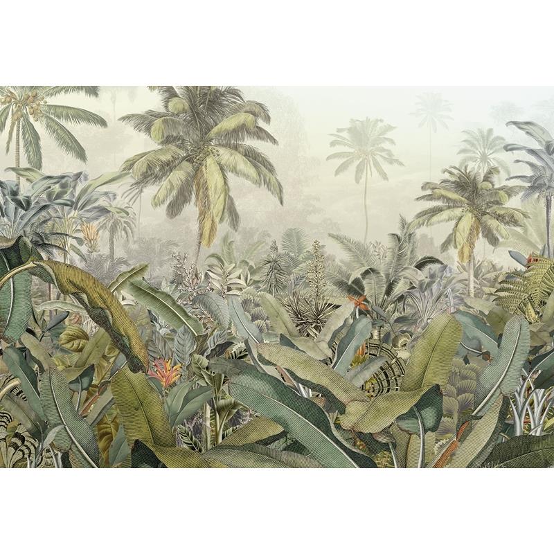 XXL4-063 Colours  Amazonia Wall Mural by Brewster,XXL4-063 Colours  Amazonia Wall Mural by Brewster2