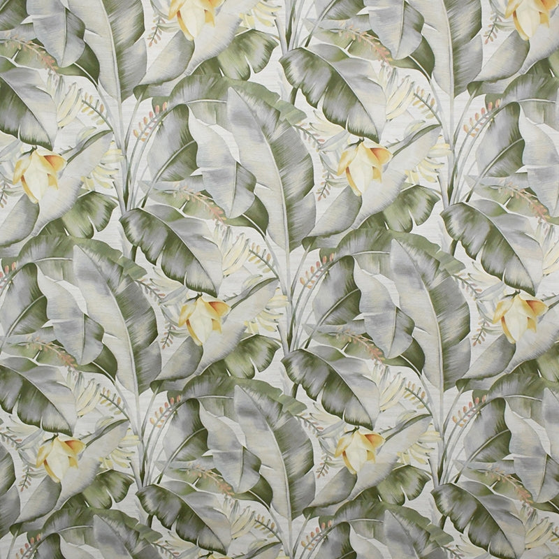 Select S5089 Meadow Coastal Green Greenhouse Fabric
