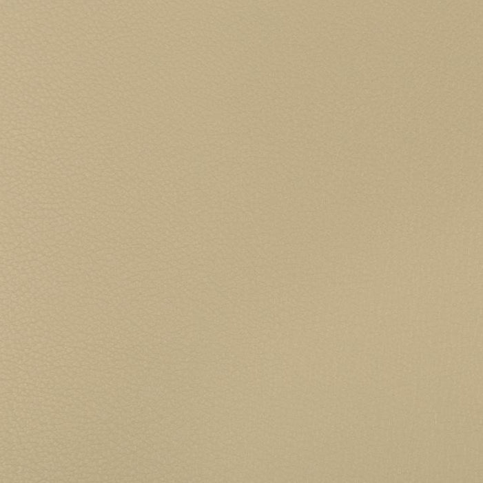 Buy SYRUS.1616.0 Syrus Stucco Solids/Plain Cloth Beige by Kravet Contract Fabric