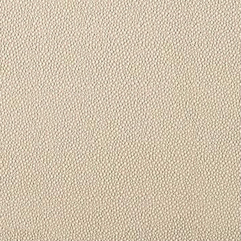 View FETCH.1606.0 Fetch Beige Animal Skins by Kravet Contract Fabric