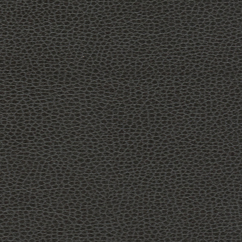 Purchase sample of 363-5845 Promessa, Ebony by Schumacher Fabric