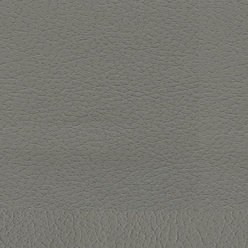 Purchase sample of 303-5802 Brisa, Ash by Schumacher Fabric
