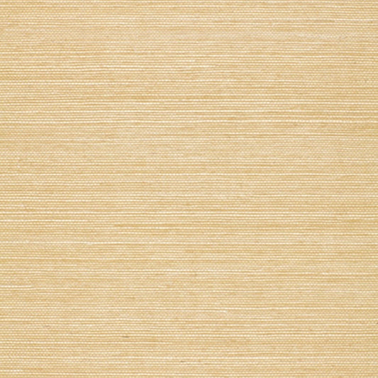 Looking for 5002196 Onna Sisal Beige Schumacher Wallpaper