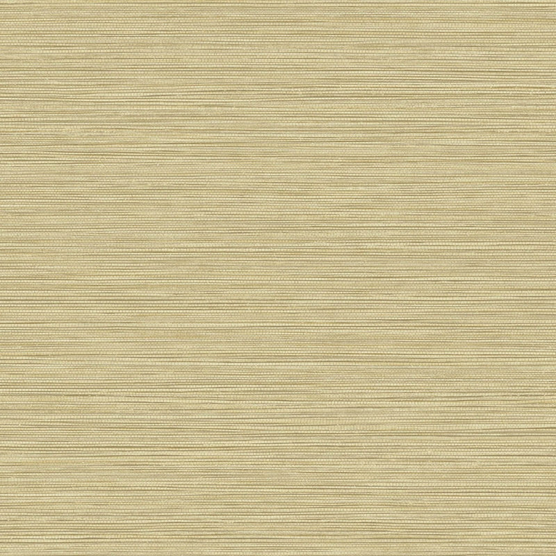 Select BV30103 Texture Gallery Grasslands Sandy Shores by Seabrook Wallpaper