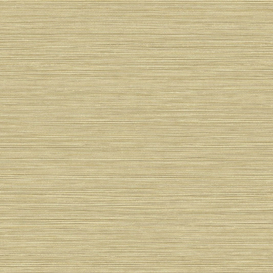 Select BV30103 Texture Gallery Grasslands Sandy Shores by Seabrook Wallpaper