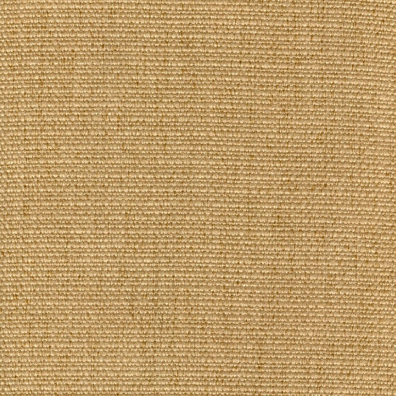 Sample 8054 Cachay Gold Magnolia Fabric