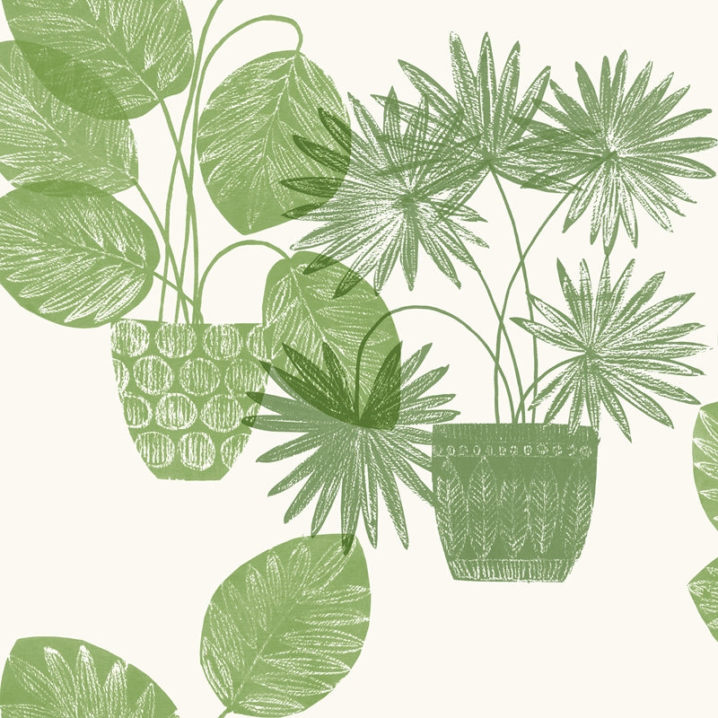 Sample 4014-87558 Seychelles, Aida Green Potted Plant Wallpaper by A-Street Prints Wallpaper