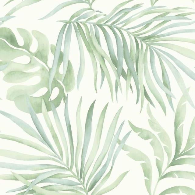 Select SO2452 Tranquil Paradise Palm color green Trellis by Candice Olson Wallpaper