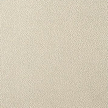 Buy FETCH.116.0 Fetch Beige Animal Skins by Kravet Contract Fabric