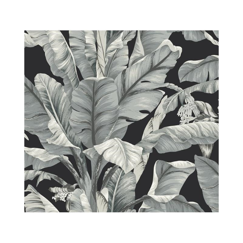 Sample BW3971 Banana Leaf, Black and White Resource Library by York Wallpaper