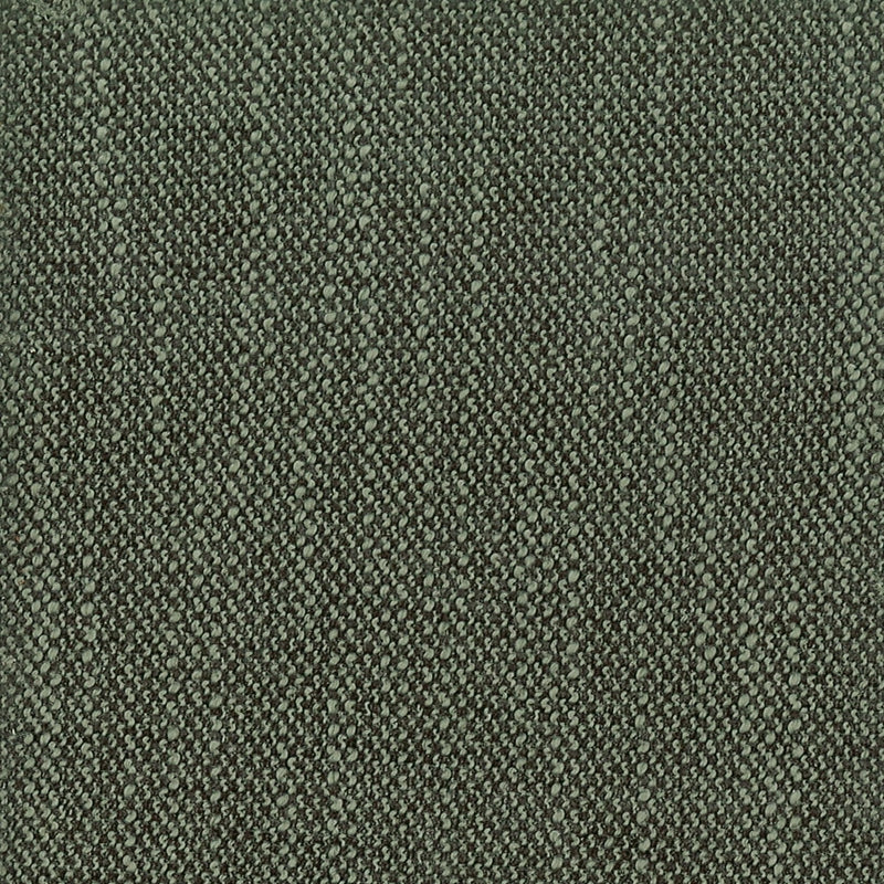 Sample JUIC-29 Iron by Stout Fabric