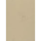 Sample STRUT 32J7291 by JF Fabric