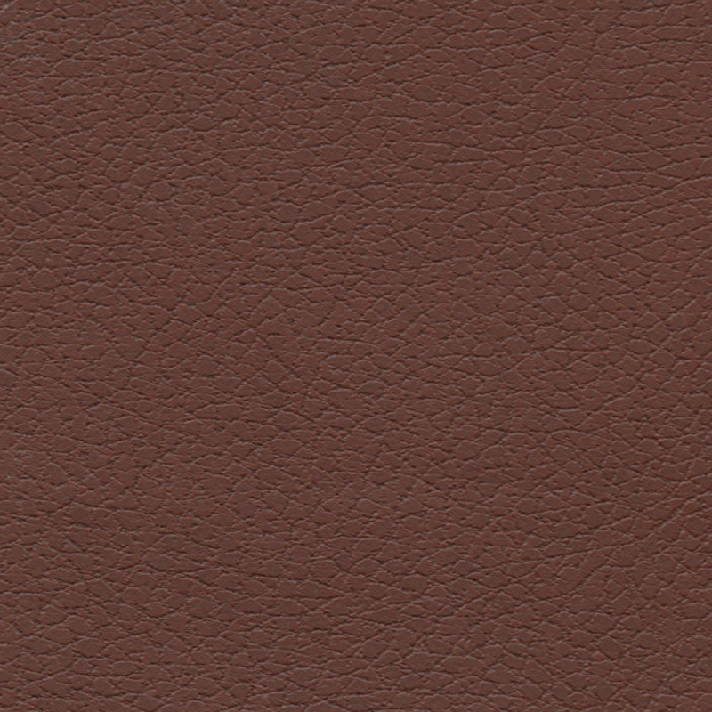 Purchase sample of 303-3825 Brisa, Canyon by Schumacher Fabric