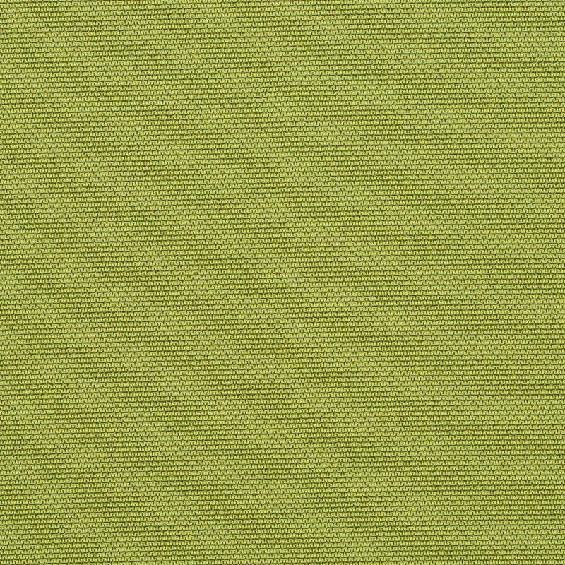 508496 | Perimeter, Lime - Robert Allen