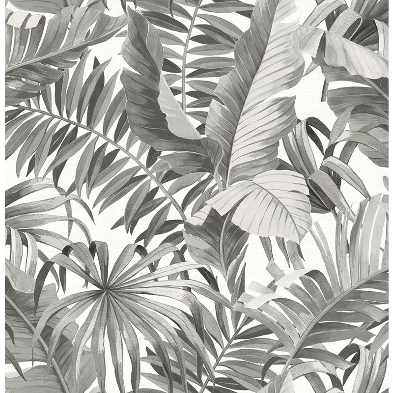 Sample 2969-24134 Pacifica, Alfresco Grey Tropical Palm by A-Street Prints Wallpaper