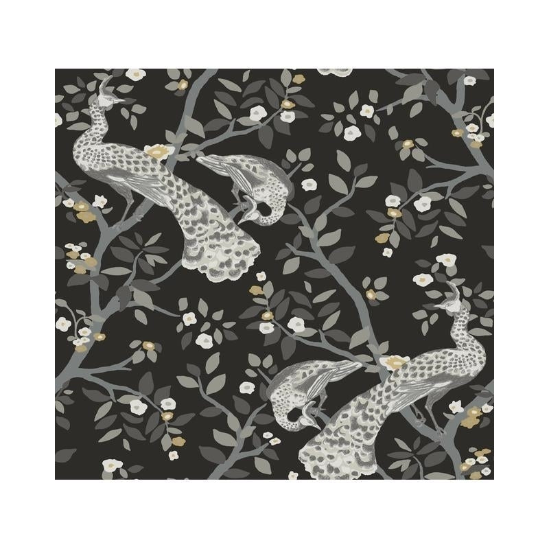 Sample BW3802 Plume, Black and White Resource Library by York Wallpaper