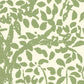 Sample 2030-02WP Arbre De Matisse, Jungle Green on Off White by Quadrille Wallpaper