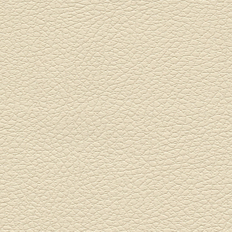 Purchase sample of 303-3863 Brisa, Cream by Schumacher Fabric