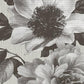 Purchase UK11105 Mica Brown Floral by Seabrook Wallpaper