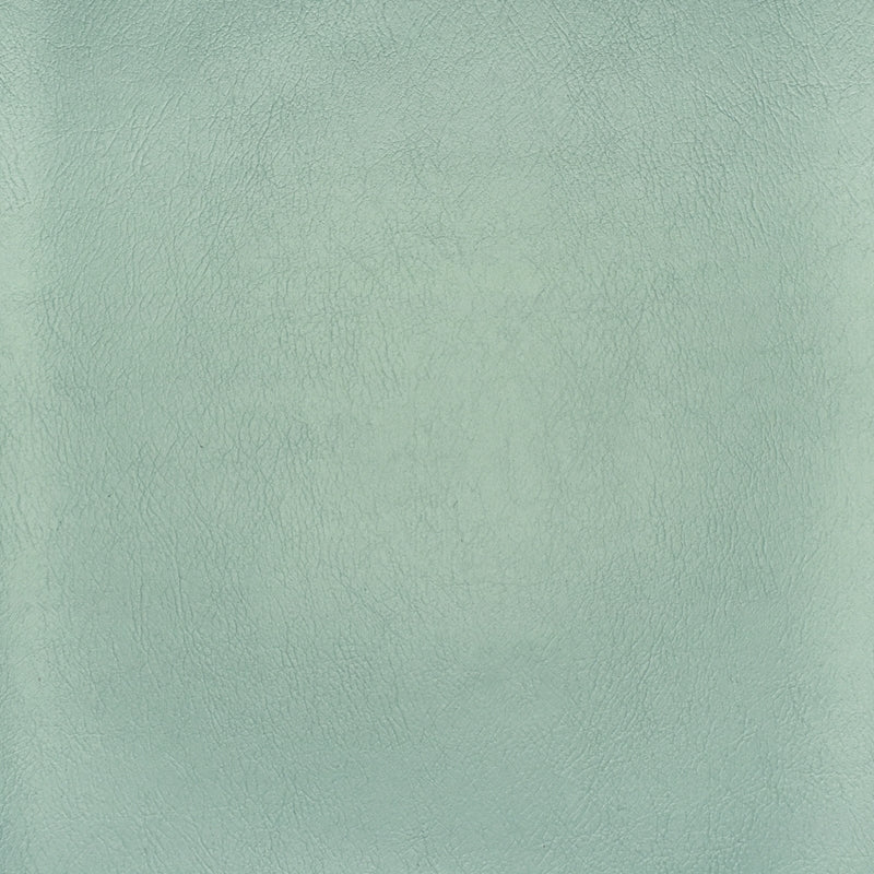 Purchase F2886 Spa  Upholstery Greenhouse Fabric